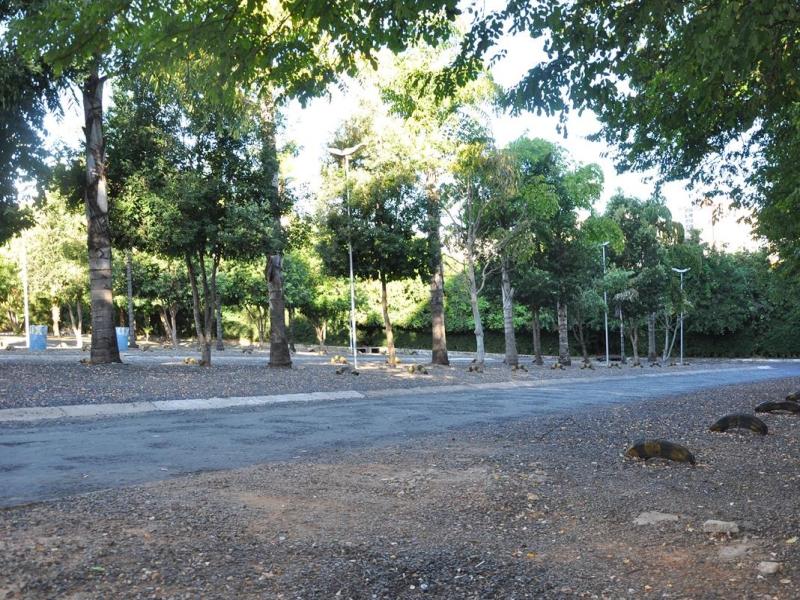 Foto condominios/049/fotos/049(20241031005401).jpg