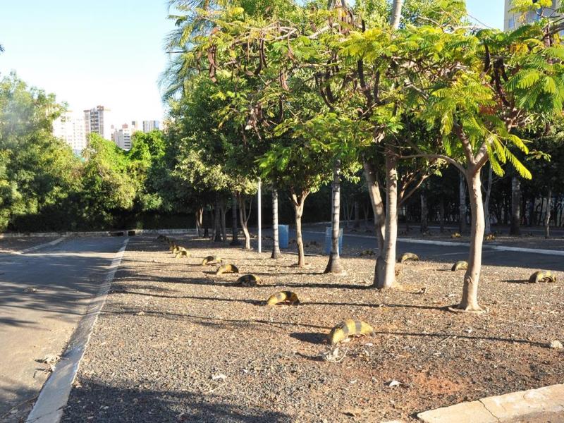 Foto condominios/049/fotos/049(20241031005403).jpg